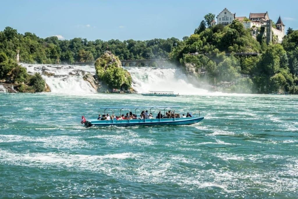 Schoene Einliegerwohnung 200M Vom Wasser Entfernt Stein Am Rhein Eksteriør bilde